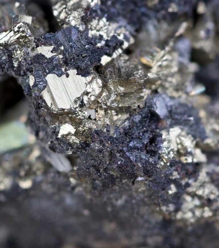 Zinc: a crucial essential mineral