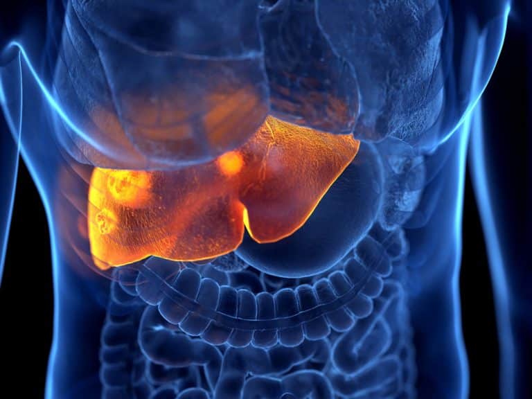 Reduce tiredness and re-energise: understanding the role of your liver